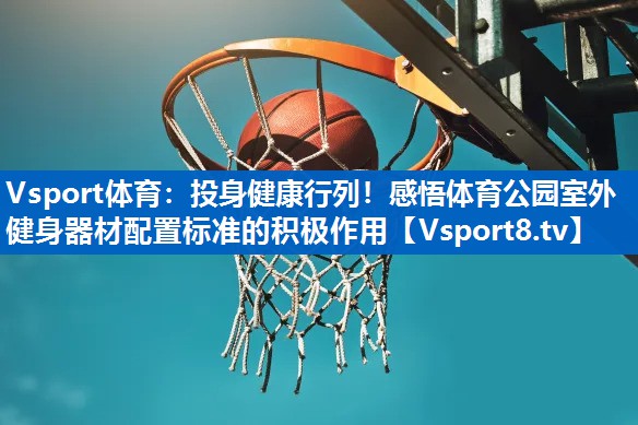 Vsport体育：投身健康行列！感悟体育公园室外健身器材配置标准的积极作用